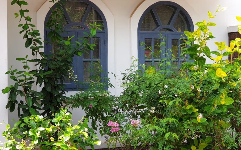 deluxe room windows